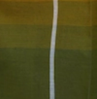 Man wearing a handloom cotton sarong with a mustard to olive green ombré gradient and a central white pinstripe.