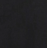 Man wearing a black tonal linen shirt featuring a white stripe contrast inner collar and black buttons, paired with blue jeans.