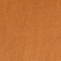 Man wearing a rust brown linen short sleeve shirt with a double placket and chest pocket.
