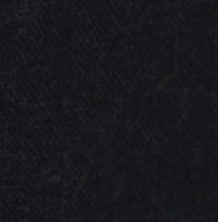 Woman wearing classic black linen pleated high-waist shorts with a cuffed hem and side pockets, the pleat and pocket detail on black high-waisted linen shorts.